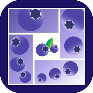 TOP55 (TOP55)さんのスマートフォンアプリ用アイコンのデザインと製作(早期終了する可能性があります)への提案
