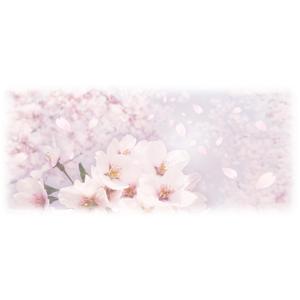 L_and_S (L_and_S)さんの美しい自然　イラスト・または写真加工【桜】への提案