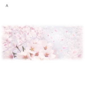 L_and_S (L_and_S)さんの美しい自然　イラスト・または写真加工【桜】への提案