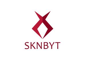 CSK.works ()さんの「SKNBYT」のロゴ作成への提案