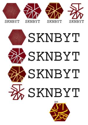 目黒 (ryoko_tsutsumi)さんの「SKNBYT」のロゴ作成への提案