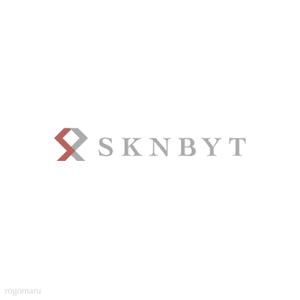 ロゴ研究所 (rogomaru)さんの「SKNBYT」のロゴ作成への提案