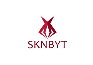 CSK.works ()さんの「SKNBYT」のロゴ作成への提案