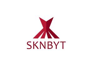CSK.works ()さんの「SKNBYT」のロゴ作成への提案