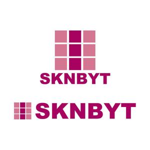 木戸福三郎 (kido-saburo)さんの「SKNBYT」のロゴ作成への提案