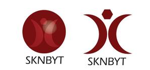 目黒 (ryoko_tsutsumi)さんの「SKNBYT」のロゴ作成への提案