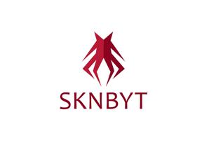 CSK.works ()さんの「SKNBYT」のロゴ作成への提案