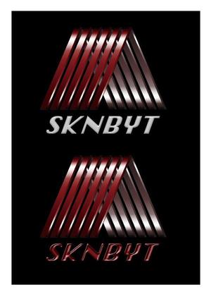 目黒 (ryoko_tsutsumi)さんの「SKNBYT」のロゴ作成への提案