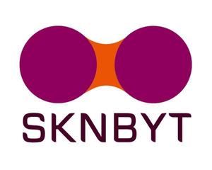 i-kotinukさんの「SKNBYT」のロゴ作成への提案