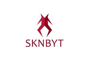 CSK.works ()さんの「SKNBYT」のロゴ作成への提案