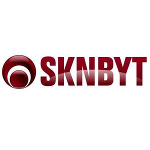 alpv-dさんの「SKNBYT」のロゴ作成への提案
