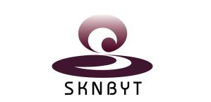 和宇慶文夫 (katu3455)さんの「SKNBYT」のロゴ作成への提案