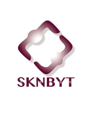nayukiさんの「SKNBYT」のロゴ作成への提案