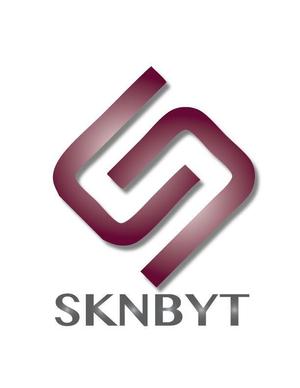 nayukiさんの「SKNBYT」のロゴ作成への提案