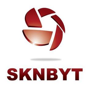 さんの「SKNBYT」のロゴ作成への提案