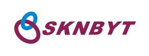 horieyutaka1 (horieyutaka1)さんの「SKNBYT」のロゴ作成への提案