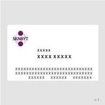 TURTLE STUDIO (Turtle_Studio)さんの「SKNBYT」のロゴ作成への提案