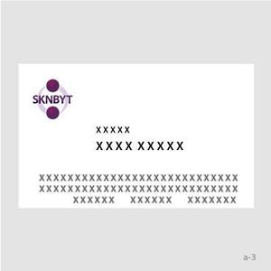 TURTLE STUDIO (Turtle_Studio)さんの「SKNBYT」のロゴ作成への提案