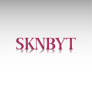 K&K (illustrator_123)さんの「SKNBYT」のロゴ作成への提案