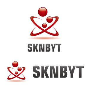 perles de verre (perles_de_verre)さんの「SKNBYT」のロゴ作成への提案