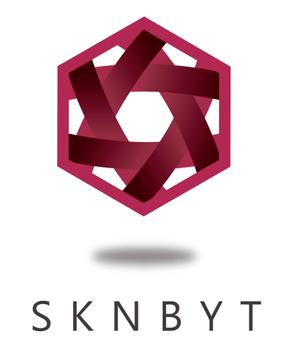 西尾洋二 (goodheart240)さんの「SKNBYT」のロゴ作成への提案