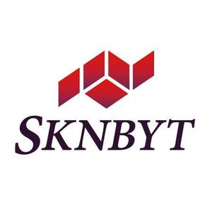 36thCさんの「SKNBYT」のロゴ作成への提案