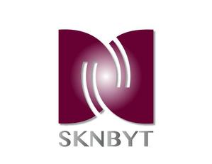 nayukiさんの「SKNBYT」のロゴ作成への提案