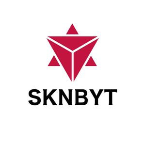 でぃで ()さんの「SKNBYT」のロゴ作成への提案