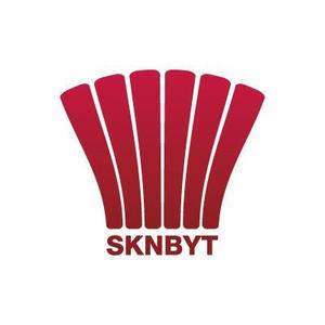 DOOZ (DOOZ)さんの「SKNBYT」のロゴ作成への提案