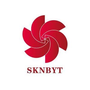 DOOZ (DOOZ)さんの「SKNBYT」のロゴ作成への提案