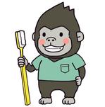 銀河たぬき (sayamimu)さんの小児歯科のキャラクター　「ゴリラのイラスト」　への提案