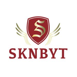 ha_futoさんの「SKNBYT」のロゴ作成への提案