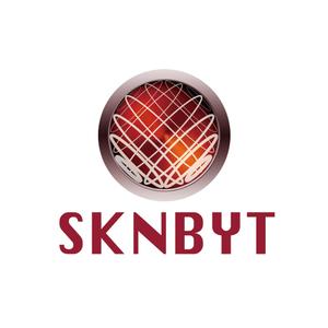 ha_futoさんの「SKNBYT」のロゴ作成への提案