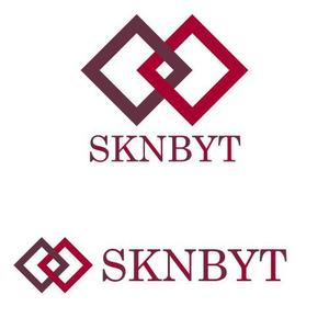 佐藤政男 (mach310)さんの「SKNBYT」のロゴ作成への提案