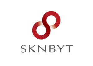 landscape (landscape)さんの「SKNBYT」のロゴ作成への提案