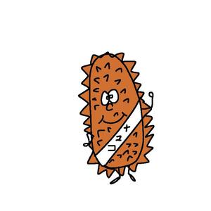 kita (kitahira_8)さんのナマコのキャラクターへの提案