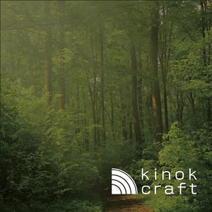 IROHA-designさんの木の素材を中心とした販売サイト kinok craft のロゴへの提案