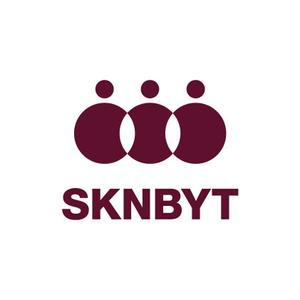 skyblue (skyblue)さんの「SKNBYT」のロゴ作成への提案