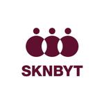skyblue (skyblue)さんの「SKNBYT」のロゴ作成への提案