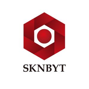 BeLINEさんの「SKNBYT」のロゴ作成への提案
