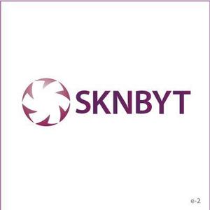 TURTLE STUDIO (Turtle_Studio)さんの「SKNBYT」のロゴ作成への提案