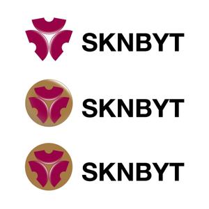 trailさんの「SKNBYT」のロゴ作成への提案