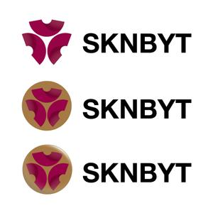 trailさんの「SKNBYT」のロゴ作成への提案