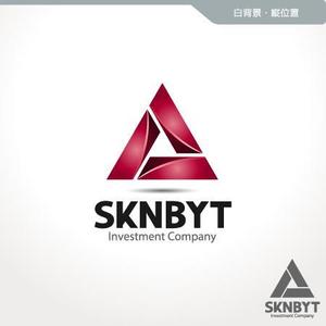Veritas Creative (veritascreative)さんの「SKNBYT」のロゴ作成への提案