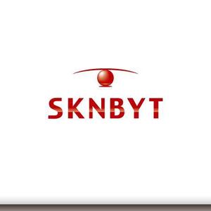 渡辺浩二 ()さんの「SKNBYT」のロゴ作成への提案