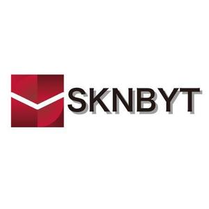 Maya_lotty ()さんの「SKNBYT」のロゴ作成への提案