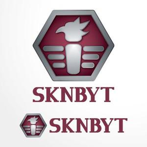Dripple (Dripple)さんの「SKNBYT」のロゴ作成への提案