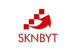 acve (acve)さんの「SKNBYT」のロゴ作成への提案