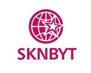 acve (acve)さんの「SKNBYT」のロゴ作成への提案