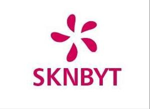acve (acve)さんの「SKNBYT」のロゴ作成への提案
